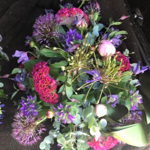 Druppel Roze Blauw Paars