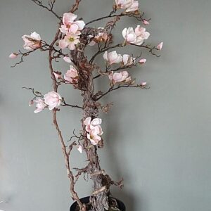 zijde Magnolia boom