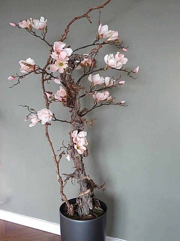zijde Magnolia boom