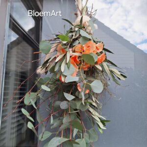 toef Lathyrus