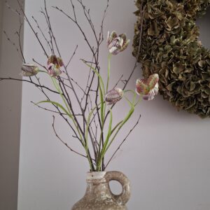 Fritillaria Kievitsbloem tak