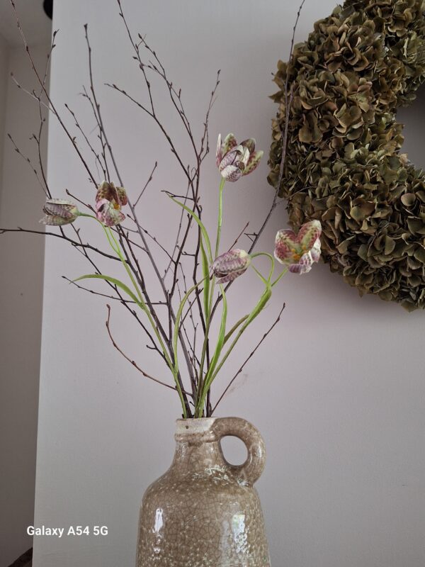 Fritillaria Kievitsbloem tak