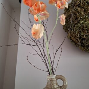 Lathyrus tak oranje