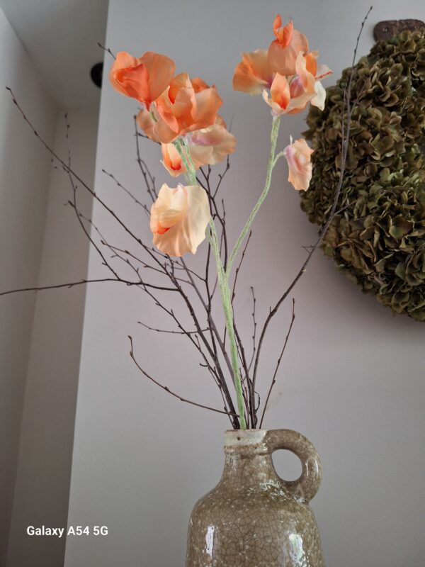Lathyrus tak oranje