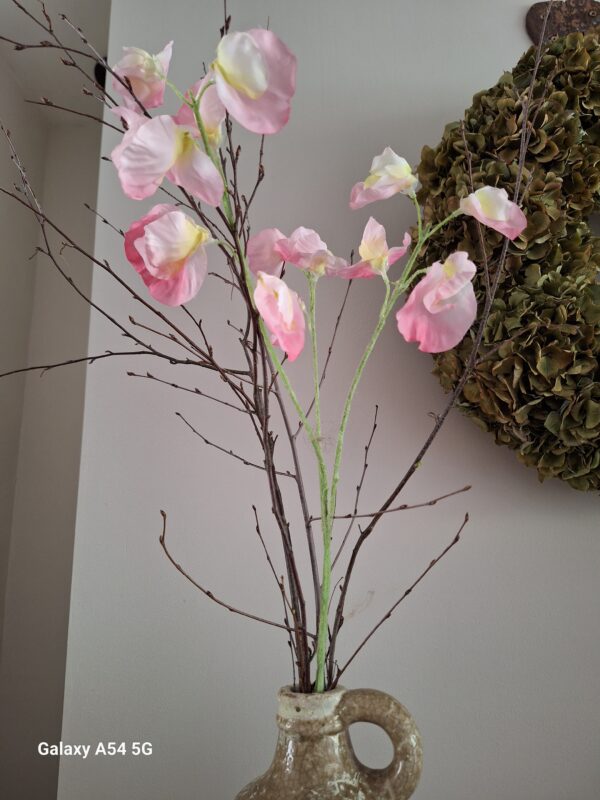 Lathyrus tak roze