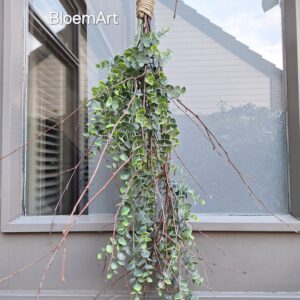 toef ( kunst) Eucalyptus