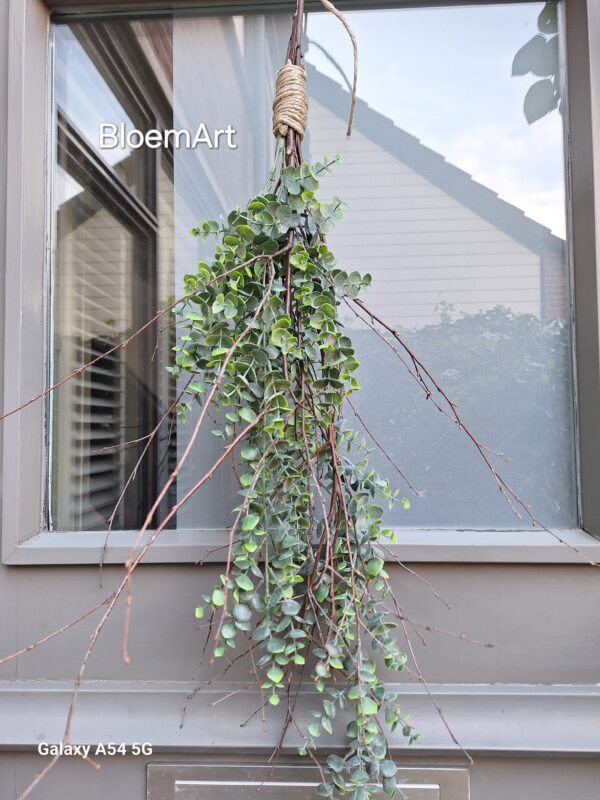 toef ( kunst) Eucalyptus