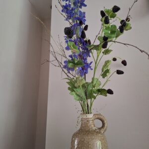 Toef Delphinium Braam