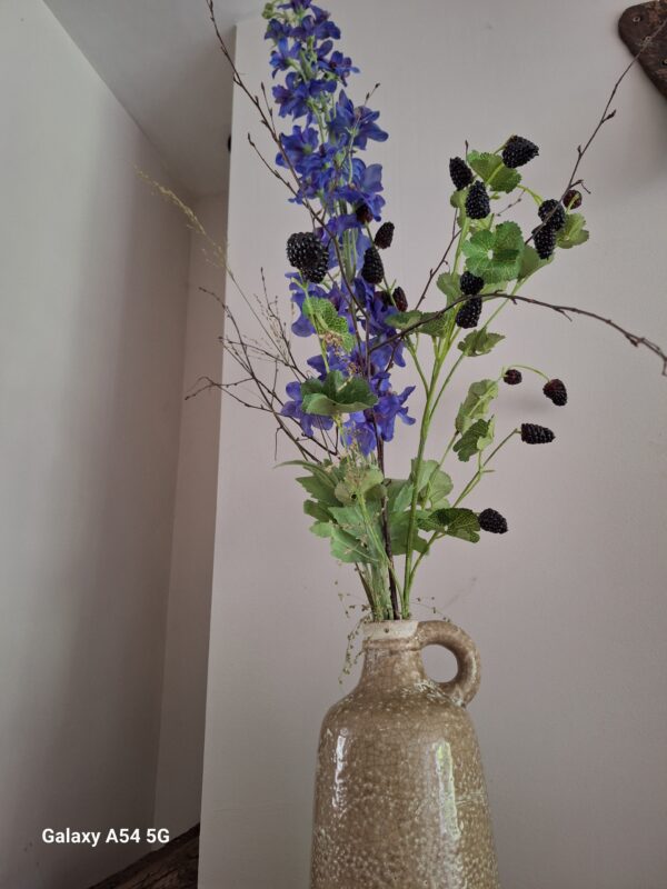 Toef Delphinium Braam