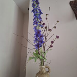 Toef Delphinium Calicarpa