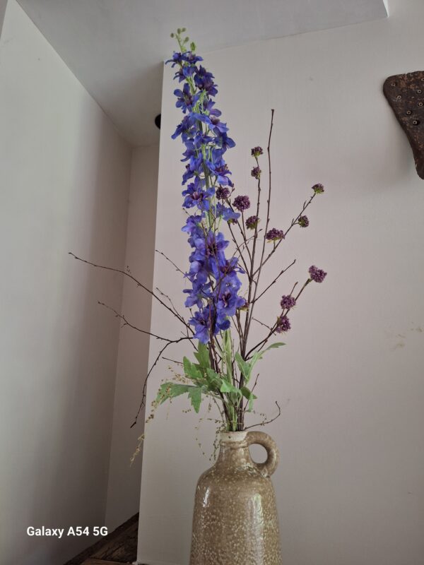 Toef Delphinium Calicarpa