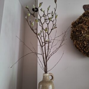Magnolia tak