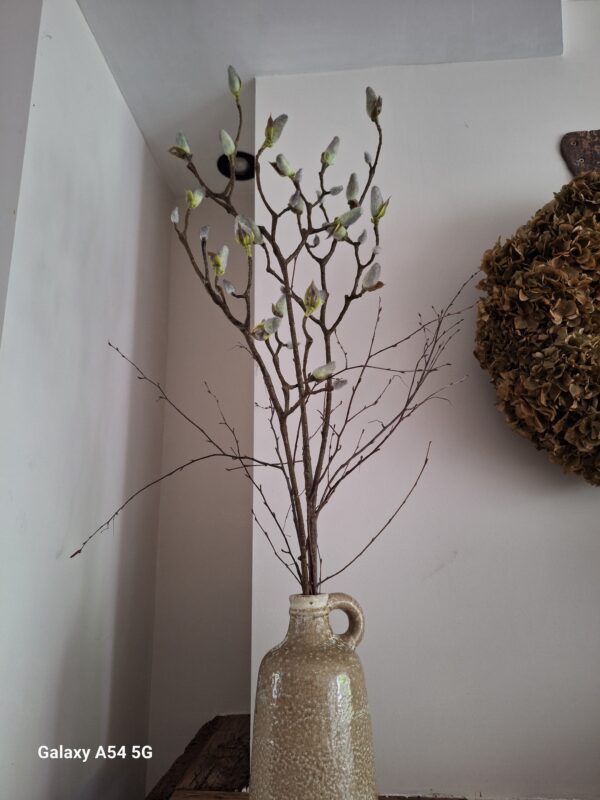 Magnolia tak