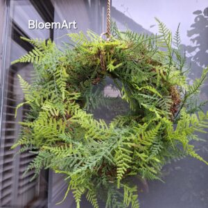 Moskrans met kunst Asparagus