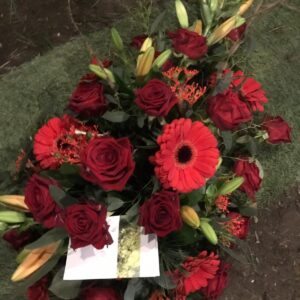Ovaal diep rood Oranje