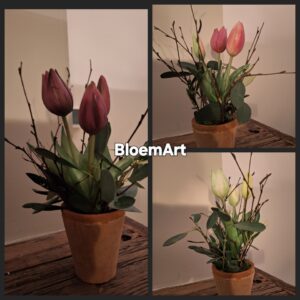 3 tulpen in steen potje