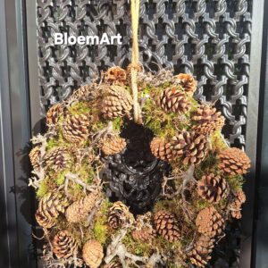 Dennenappels Bonsai krans 45 cm