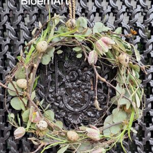 Deurkrans met Kievitsbloem en eitjes ( ook als DIY pakket)